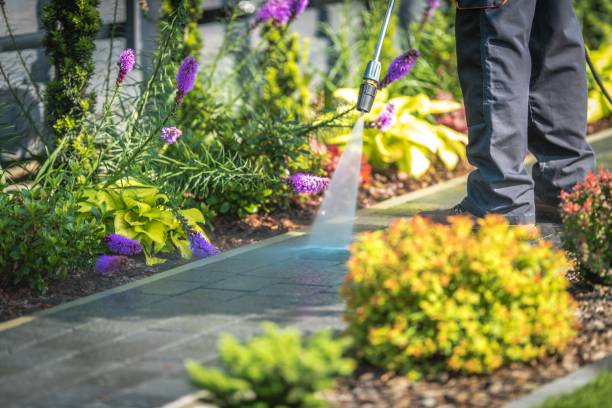 Best Driveway Pressure Washing  in Richfield, WI